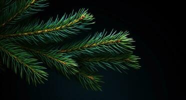 ai generado suizo abeto Navidad árbol aislado en oscuro antecedentes Navidad árbol foto