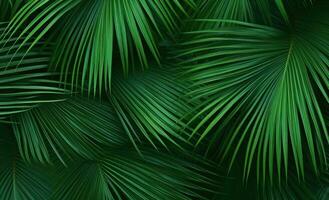 AI generated green palm leaves in a dark background, photo