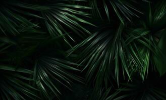 AI generated green palm leaves in a dark background, photo