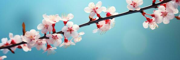 AI generated pink sakura branch with blossoms on a blue background, photo