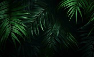 AI generated palm leaves on a dark background with palm leaves in the background, photo