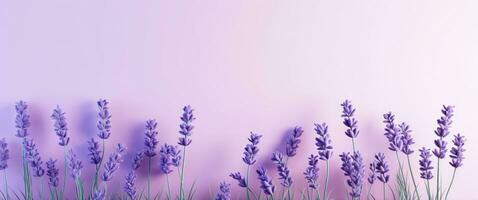 AI generated flowers on lavender background, photo