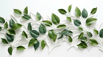 AI generated green leaf arrangement with green background and isolated on white background photo