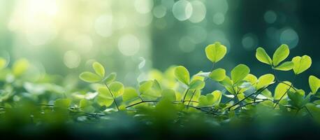 AI generated nature background with green plants and bokeh photo