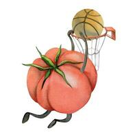 Hand drawn watercolor cute tomato character playing basketball game with ball and hoop. Fitness health. Illustration isolated composition, white background. Design poster, print, website, card, gym vector