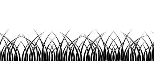 grass seamlass pattern isolated on white background vector