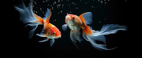 ai generado dos pez de colores nadando juntos en un acuario foto