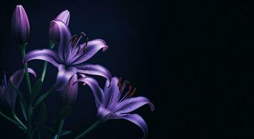 AI generated purple lily wallpaper photo