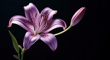 AI generated an image of a purple lily photo