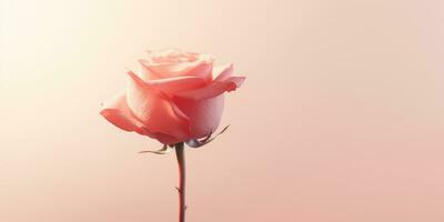 ai generado un rosado Rosa en brillante antecedentes foto