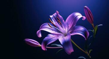 AI generated an image of a purple lily photo