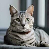 AI generated A captivating portrait of an egyptian mau cat photo