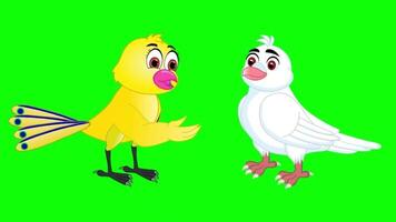 Cartoon bird animation green screen - no copyright video