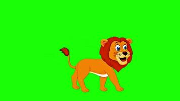 Lion Animé vert écran vidéo - vert écran dessin animé vidéo video