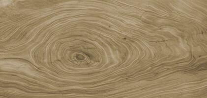 brown background and texture Cross section of tree trunk showing growth rings photo