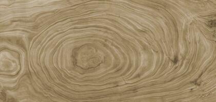brown background and texture Cross section of tree trunk showing growth rings photo