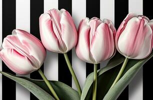 AI generated a white background with four pink tulips is placed against black and white striped background photo