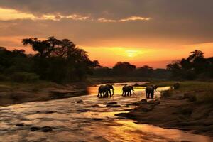 AI generated Elephants in Chobe National Park, Botswana, Africa, Elephants crossing the Olifant River, evening shot, Kruger National Park, AI Generated photo