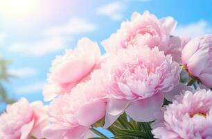 AI generated an open bouquet of pink peonies on a blue background photo