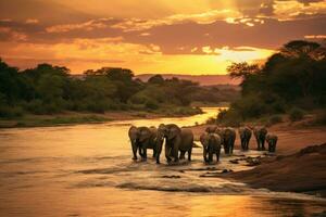 AI generated Elephants in Chobe National Park, Botswana, Africa, Elephants crossing the Olifant River, evening shot, Kruger National Park, AI Generated photo