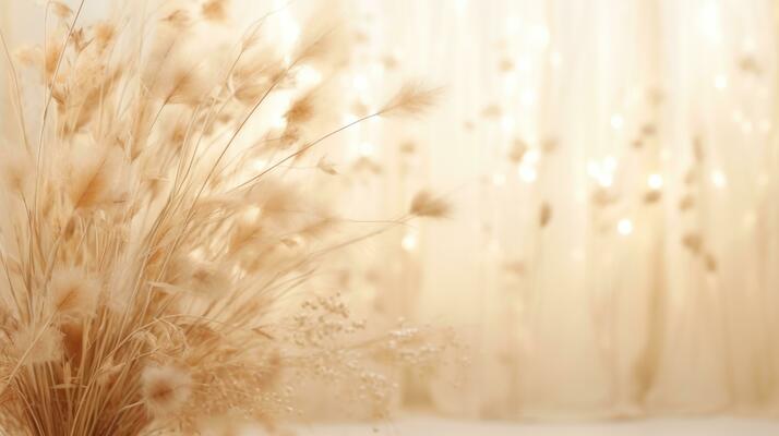 Soft Nature Background Stock Photos, Images and Backgrounds for Free