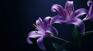 AI generated purple lily wallpaper photo