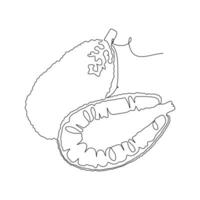 whole and half of jackfruit continuous line drawing. Vector illustration