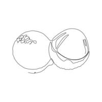 Continuous one simple single abstract line drawing of half and whole fruits of lychee icon in silhouette on a white background. Linear stylized. vector