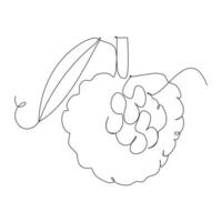 sugar apple tropical fruit continuous line drawing vector