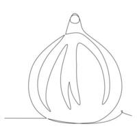 continuous line drawing of onion. Vector illustration on white background.