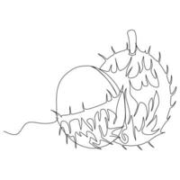 Continuous one single line drawing of sweet rambutan fruit. vector