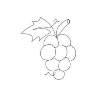 continuo uno línea dibujo de manojo de uvas. vector ilustración.