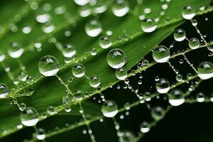 AI generated dew drops on a green leaf macro close up in the nature, AI Generated photo