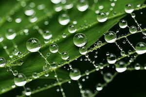 ai generado Rocío gotas en un verde hoja macro cerca arriba en el naturaleza, ai generado foto