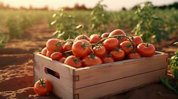 AI generated tomatoes are ripe in a crate in a small garden photo