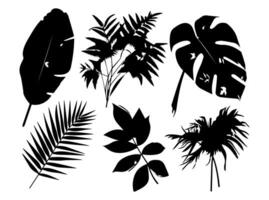 Set of black silhouettes of leaves and flowers. Vector illustration.