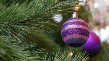 A purple christmas tree ball hanging and swinging on a christmas tree video