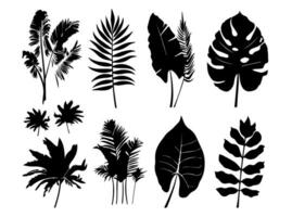 Set of black silhouettes of leaves and flowers. Vector illustration.