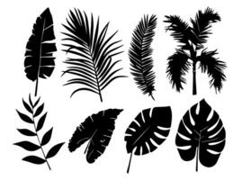 Set of black silhouettes of leaves and flowers. Vector illustration.