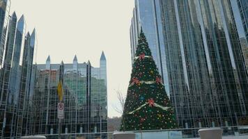 marknadsföra fyrkant stadens centrum med stor jul träd video
