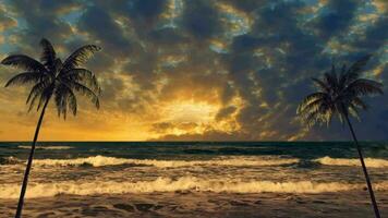 Landscape sunset in the tropics with two palm trees video