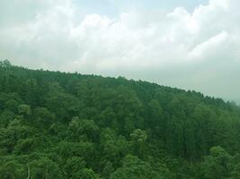 verde bosque con nublado cielo. hermosa paisaje en exterior. foto