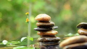 Natural flowers and Balanced rocks pyramid on water with Golden light natural peace concepts bokeh on background video