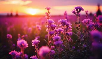 AI generated purple flowers at sunset near a field photo