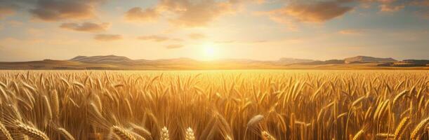 AI generated the wheat fields are shown behind a golden sun photo