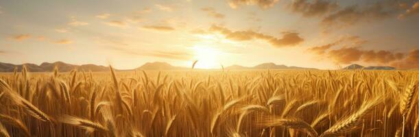 AI generated the wheat fields are shown behind a golden sun photo