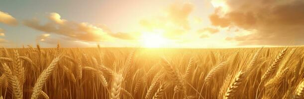 AI generated the wheat fields are shown behind a golden sun photo