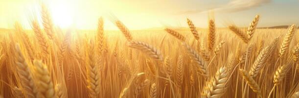 AI generated wheat in a field with the sun behind it photo