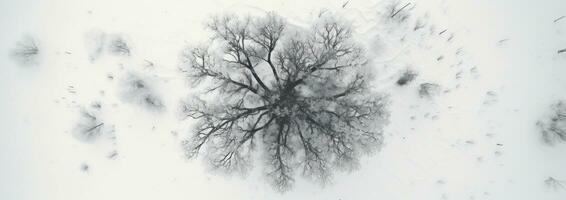 AI generated aerial view of tree covered in snow, photo