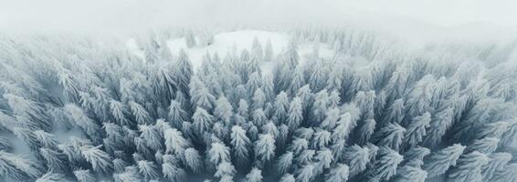 AI generated an aerial shot of snow covered pine trees, photo